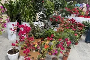 Минсельхоз: в Казахстан возвращены 2 тыс. цветов, не прошедших фитосанитарный контроль