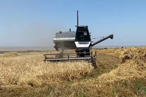 На льготное финансирование фермеров за полгода направили 8,1 млрд сомов, - Минсельхоз