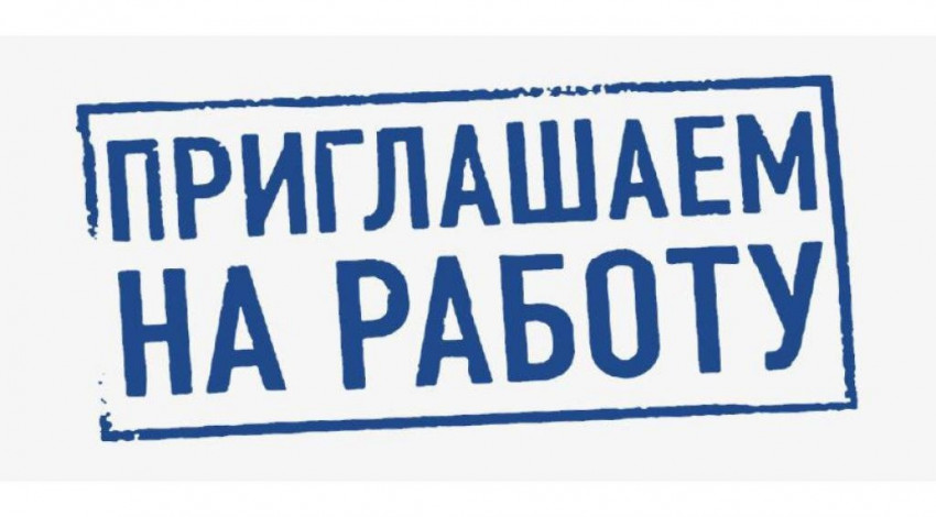 Разрабатывается цифровое решение по трудоустройству безработных граждан