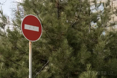 16−18 июня в Ташкенте будут временно перекрываться улицы, въезд грузовиков будет запрещён
