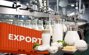 За четыре месяца Кыргызстан экспортировал около 12 тыс. тонн молочной продукции