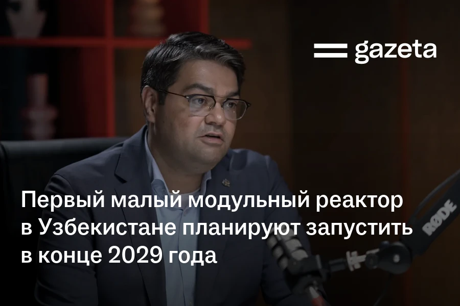 Первый малый модульный реактор в Узбекистане планируют запустить в конце 2029 года