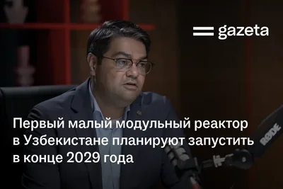 Первый малый модульный реактор в Узбекистане планируют запустить в конце 2029 года