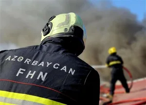 МЧС представило статистику происшествий в Азербайджане за первое полугодие