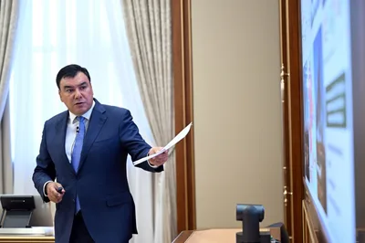 В Узбекистане создадут лесные массивы на площади более миллиона гектаров и запустят проект зеленого Самарканда