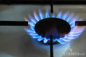 Импорт газа в Узбекистан вырос до $508 млн. Данные за прошлый год были пересмотрены