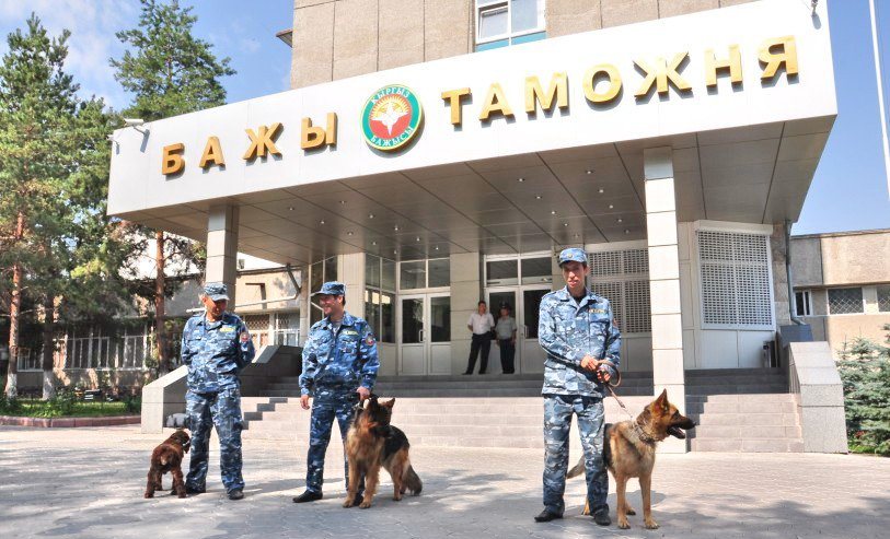 Таможня выявила неправомерное применение льготы по НДС при импорте лекарств