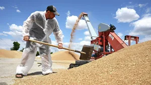 Таджикистан за шесть месяцев экспортировал сельхозпродукцию на $39,9 млн