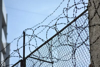 В Узбекистане осужденным хотят разрешить заказывать товары через интернет
