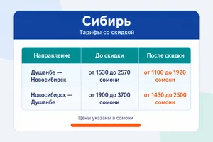 В Таджикистане за полгода снизилась стоимость авиабилетов — авиавласти