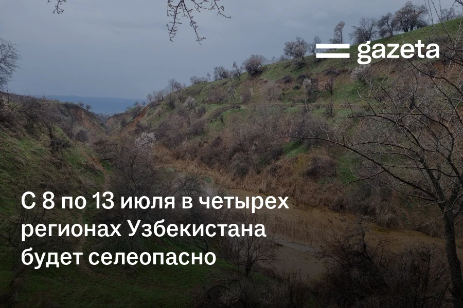 С 8 по 13 июля в четырёх регионах Узбекистана будет селеопасно