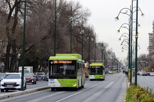 В Ташкенте автобус сбил пешехода, перебегавшего дорогу на красный свет