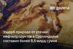 Ущерб природе от утечки нефтепродуктов в Сурхандарье составил более 8,5 млрд сумов