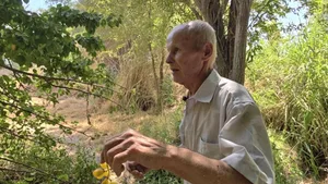 Человек, который создал лес: Александр Федин