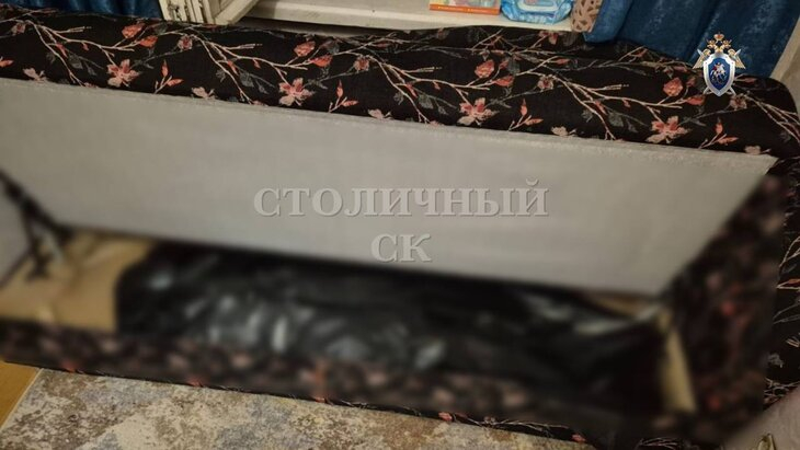 В Москве нашли изрезанное тело кыргызстанки в диване