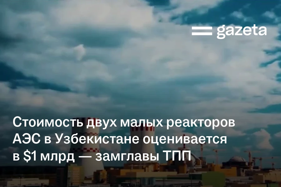 Стоимость двух малых реакторов АЭС в Узбекистане оценивается в $1млрд — замглавы ТПП