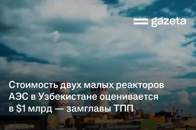 Стоимость двух малых реакторов АЭС в Узбекистане оценивается в $1млрд — замглавы ТПП