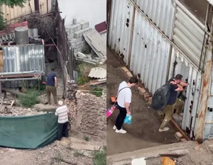 Арест и штрафы. В Ташкенте вынесли приговор ветеринару по делу о жестоком убийстве собак. Видео
