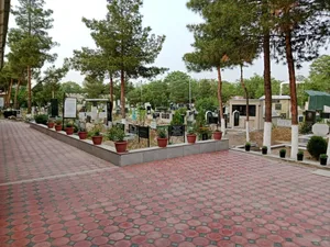 На благоустройство кладбищ можно будет жертвовать по QR-коду