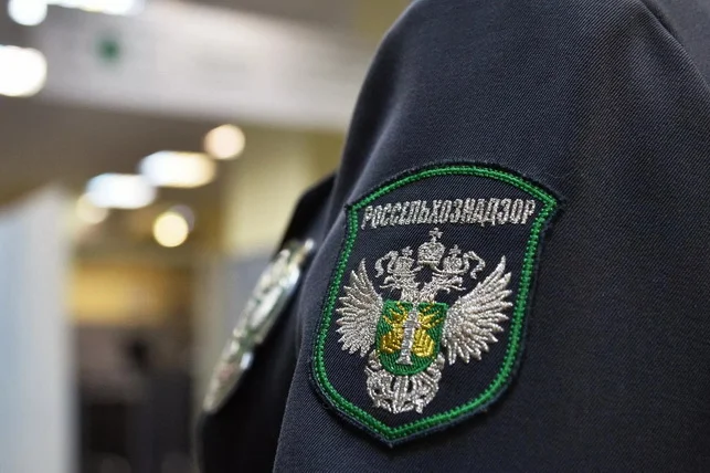 В России выявили зараженную партию винограда из Узбекистана