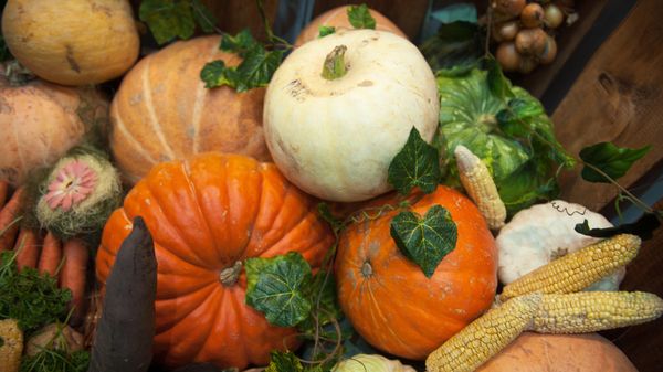 В ЕАЭС продолжает расти производство сельхозпродукции