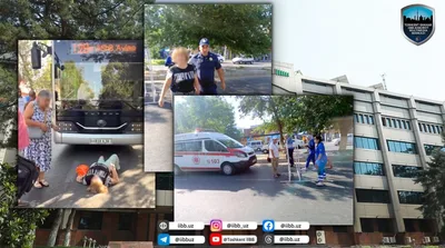 Женщину, легшую перед автобусом в Ташкенте, доставили в вытрезвитель. Видео