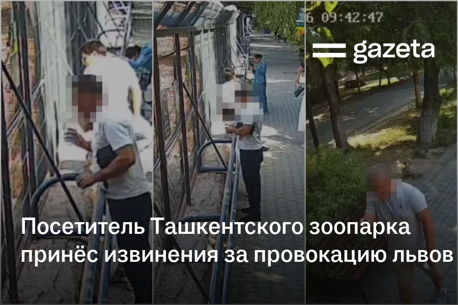 Посетитель Ташкентского зоопарка принёс извинения за провокацию белых львов