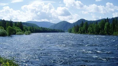 Дефицит растет, решения требуют координации: в Ташкенте обсудили водную безопасность