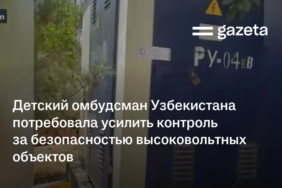 Детский омбудсман Узбекистана потребовала усилить контроль за безопасностью высоковольтных объектов