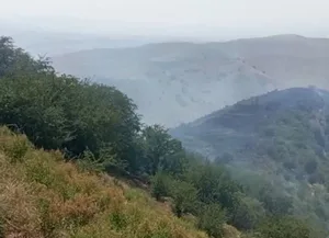 В Ахангаранском районе потушили возгорание сухой травы после тревожных сообщений очевидцев