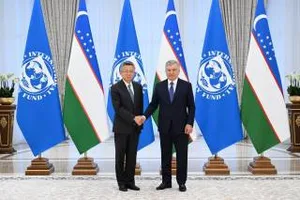 Президент Узбекистана выступил за наращивание партнерства с Международным валютным фондом