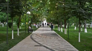 В 230 махаллях Ташкента за полгода не зафиксировали ни одного преступления