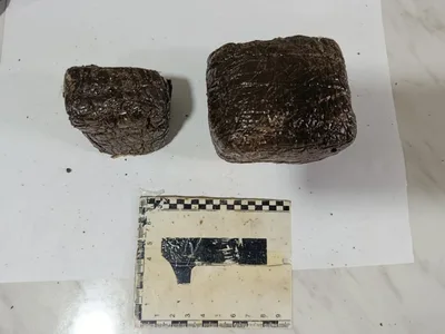 В Андижане сорвали попытку доставки полкилограмма гашиша в Ташкент