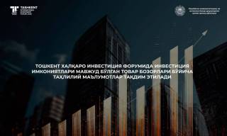 Перспективные направления для предпринимательства и инвестиций