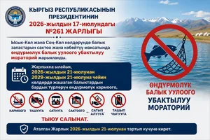На Иссык-Куле и Сон-Куле введен временный мораторий на промысловый вылов рыбы