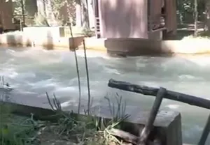В Наманганской области нашли тело мужчины, утонувшего в горной реке Чодаксой