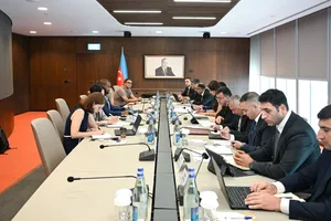 Азербайджан и МВФ обсудили реформы в сфере налоговой политики