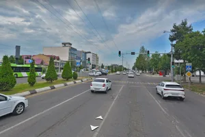 В Ташкенте появился новый «зеленый коридор» — вдоль Малой кольцевой автодороги