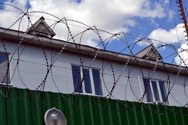 В Узбекистане осужденным могут разрешить онлайн-покупки