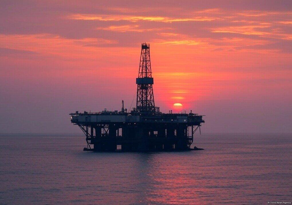 Стало известно, сколько нефти Азербайджан поставил в Хорватию