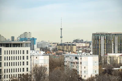 Главное за неделю 10−16 августа: массовая оценка недвижимости в Ташкенте, блэкаут в Центральной Азии и закон об Администрации президента