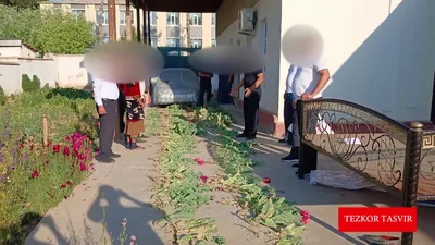 Двое пожилых жителей Сурхандарьи вырастили на своих огородах сотни кустов мака. Видео