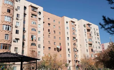 В Узбекистане утвердили субсидии на покупку жилья для медиков со стажем более 15 лет