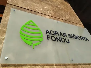 ФАС: В связи с майскими дождями поступило более 3 тыс. обращений