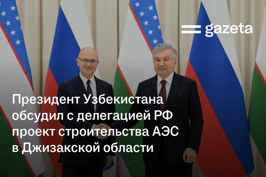 Президент Узбекистана обсудил с делегацией РФ проект строительства АЭС в Джизакской области