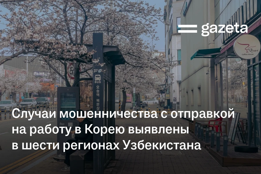 Случаи мошенничества с отправкой на работу в Корею выявлены в шести регионах Узбекистана