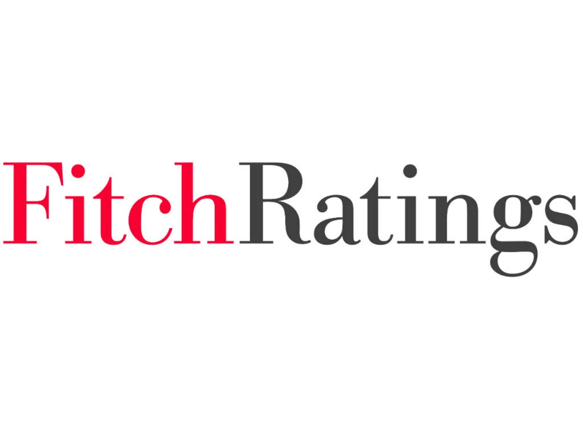 Fitch ожидает роста стратегических валютных резервов Азербайджана до 117% ВВП