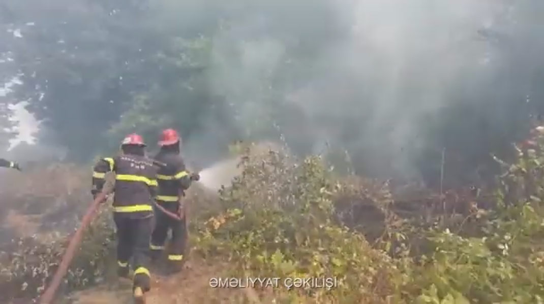 Lənkəranda açıq ərazi yanır