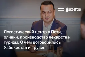 Логистический центр в Поти, оливки, производство лекарств и туризм. О чём договорились Узбекистан и Грузия