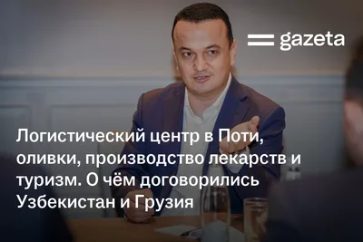 Логистический центр в Поти, оливки, производство лекарств и туризм. О чём договорились Узбекистан и Грузия